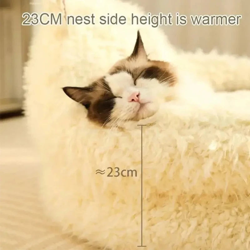 Bed Cats for Winter Warm Houses and Habitats